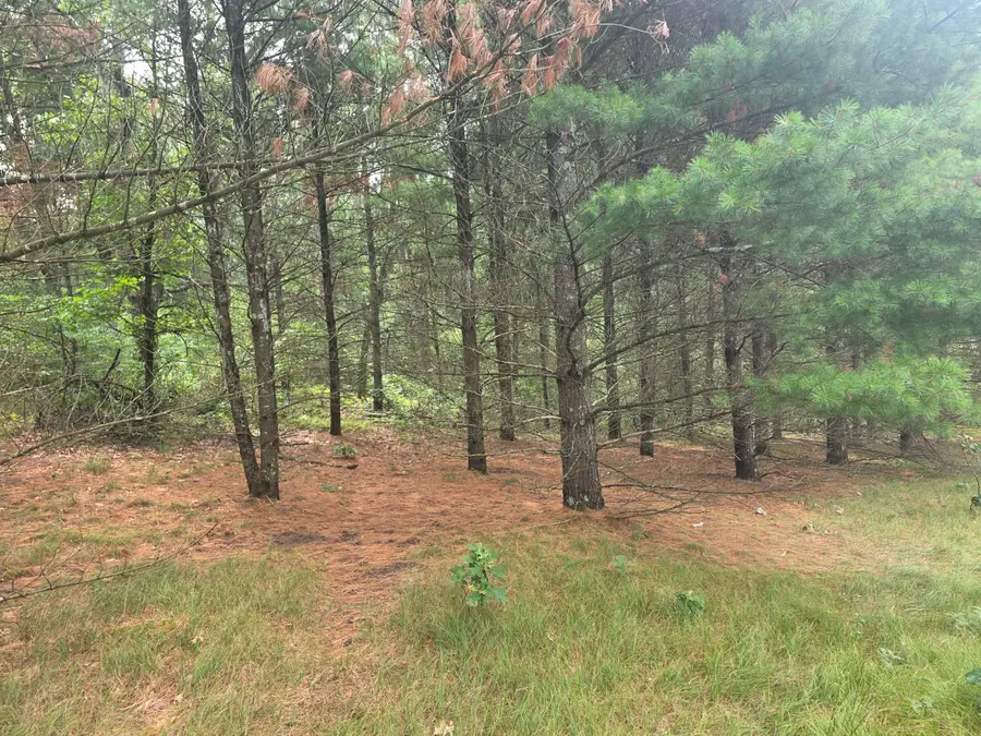 S Outaway Drive, Newaygo, MI 49337 - #2