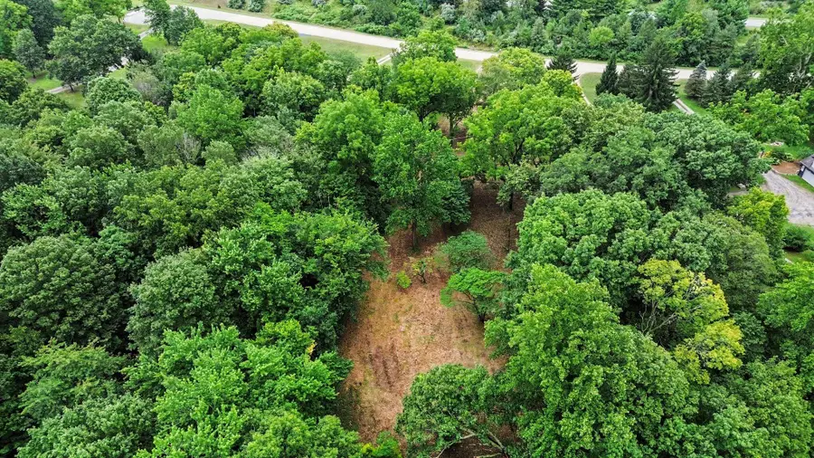 4239 Lake Chapin Bluff, Berrien Springs, MI 49103 - #3
