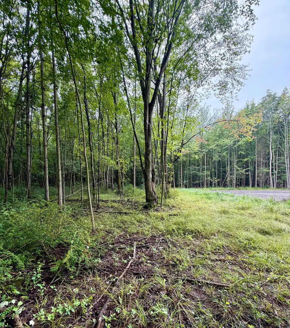 Lot 6 Christopher Lane, South Haven, MI 49090 - #1