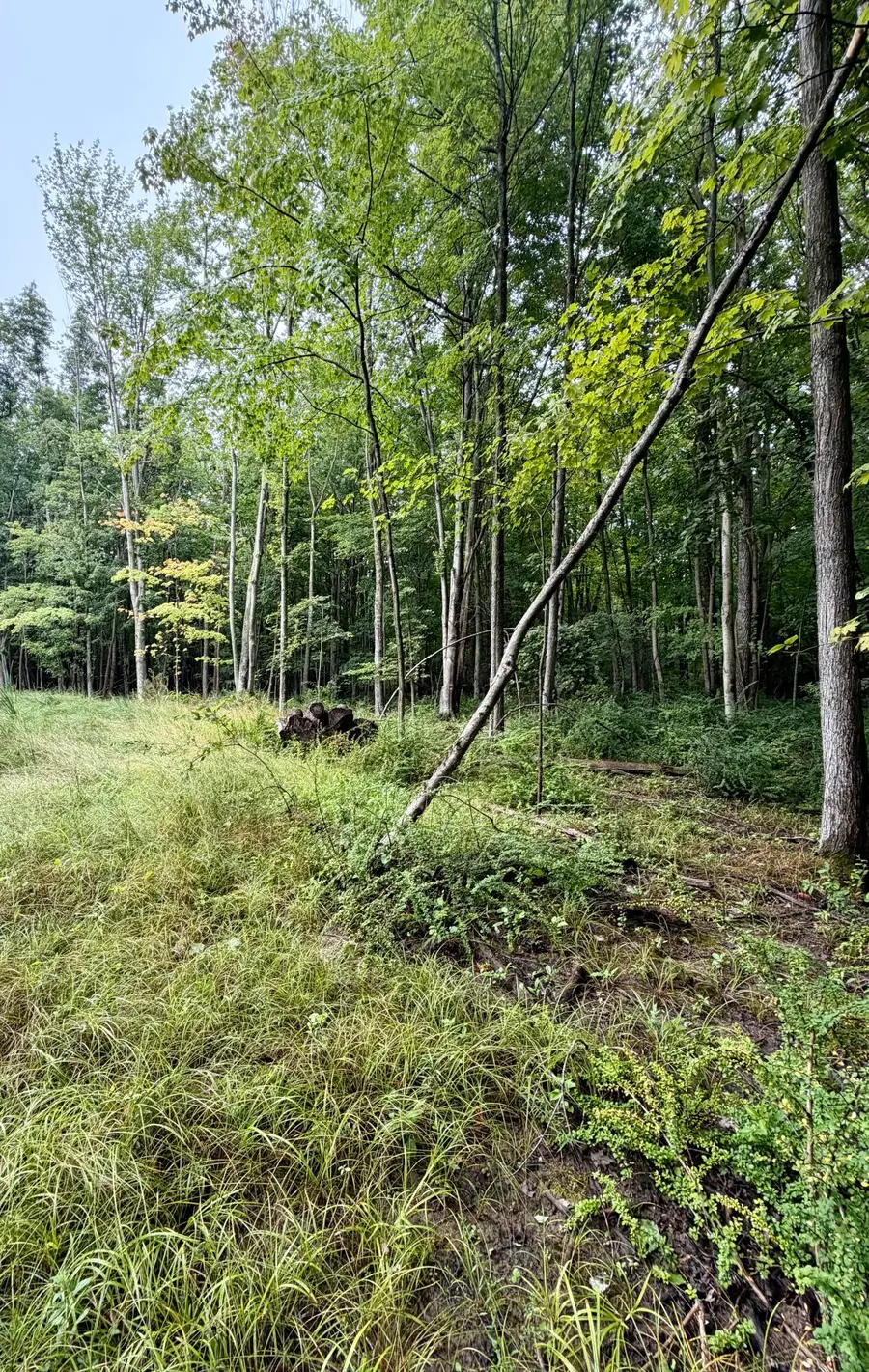Lot 6 Christopher Lane, South Haven, MI 49090 - #3
