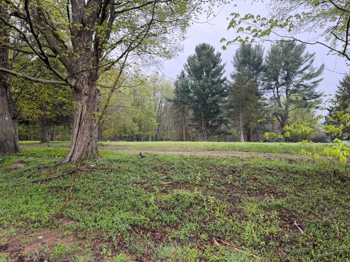 Lot 1 Christopher Lane, South Haven, MI 49090 - #1