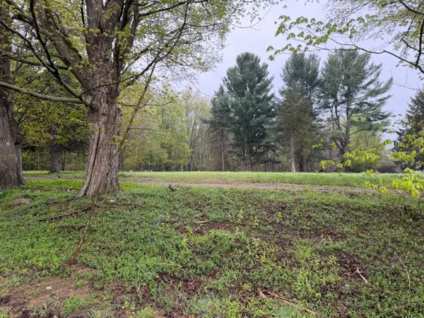 Lot 1 Christopher Lane, South Haven, MI 49090