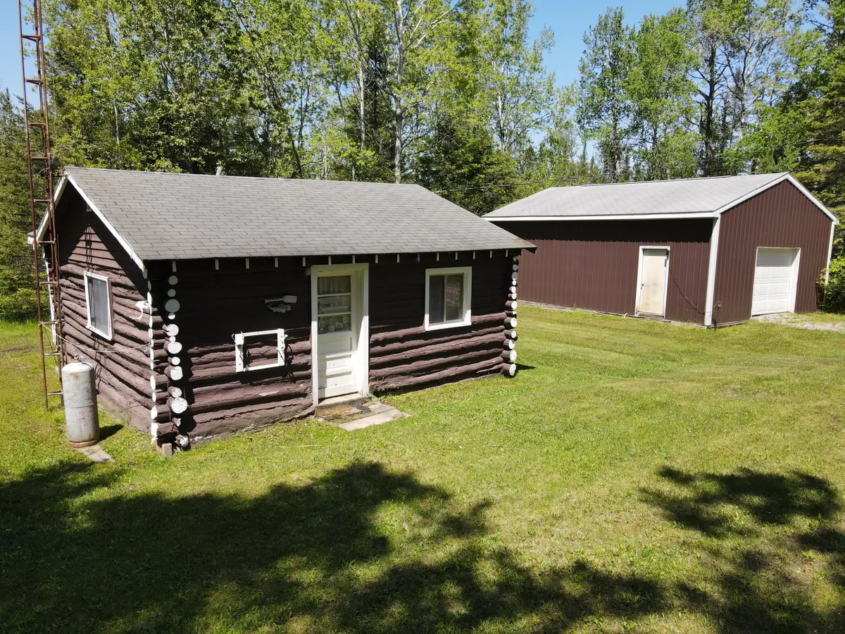 1710 Miller Road, Lincoln, MI 48742 - #1