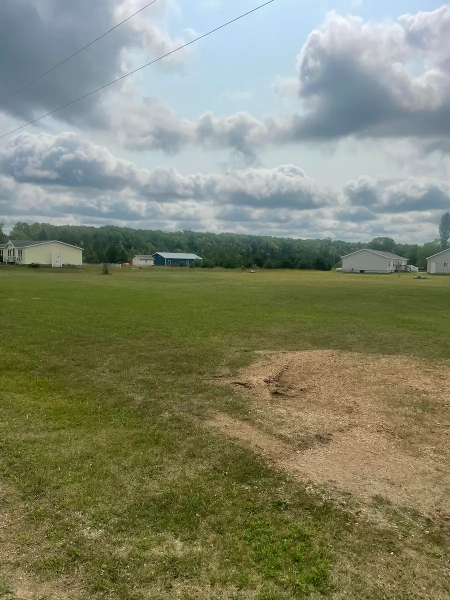 Lot #84 W Rimkus Drive, Irons, MI 49644 - #2