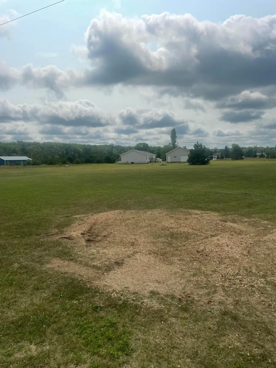 Lot #85 W Rimkus Drive, Irons, MI 49644 - #3