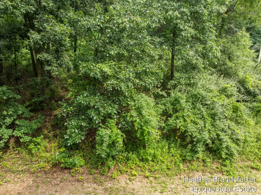 13271 Beckwith Drive Ne, Lowell, MI 49331 - #3