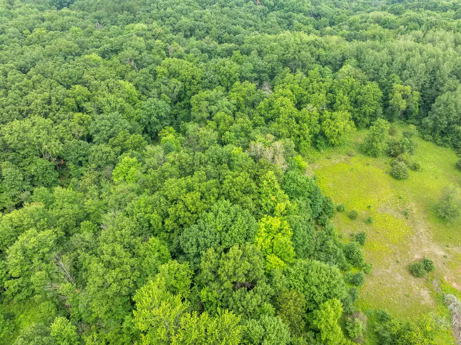 13283 Beckwith Drive Ne, Lowell, MI 49331 - #2