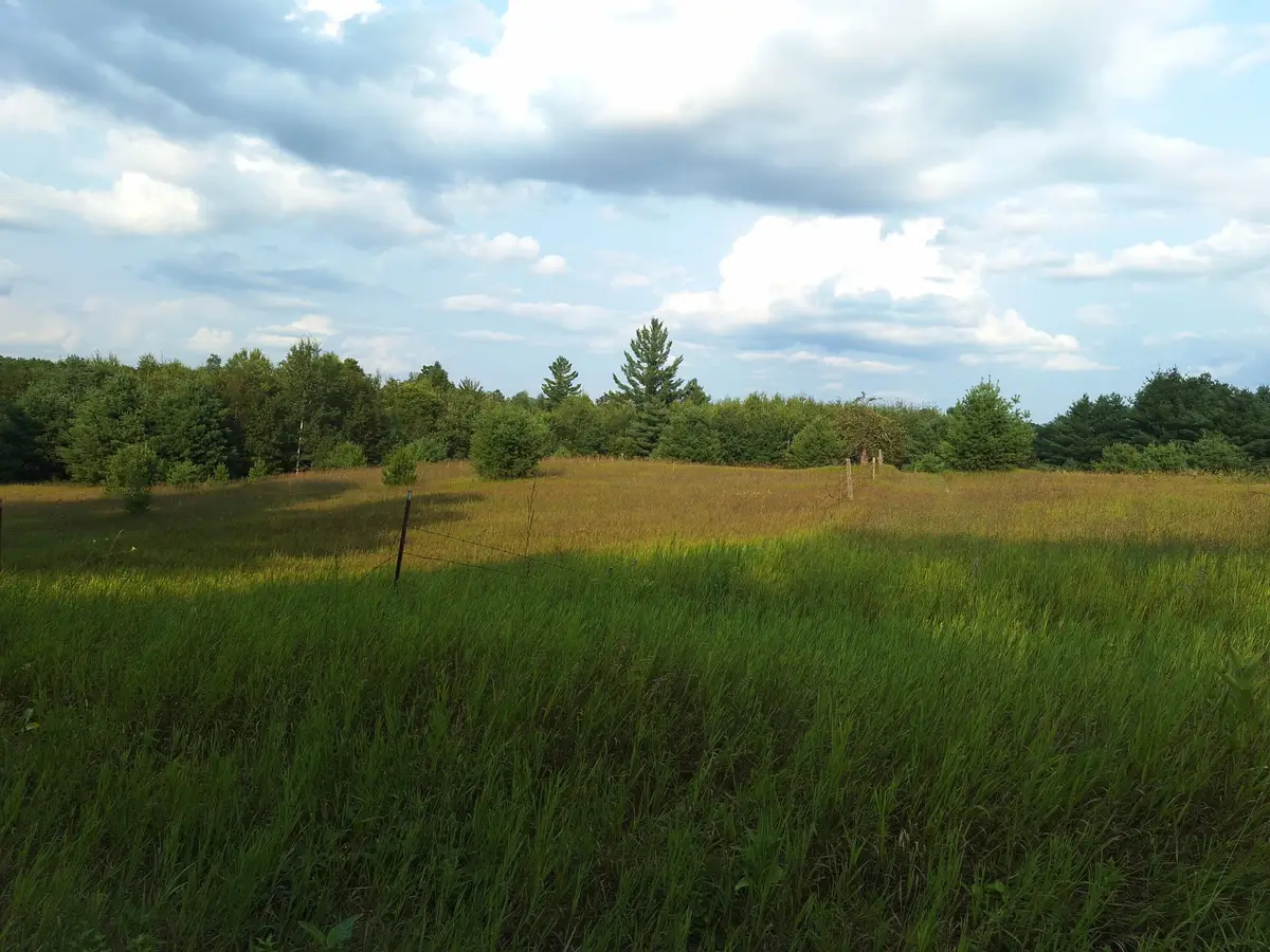 V/L 00 N Lakola Road, Leroy, MI 49655 - #1