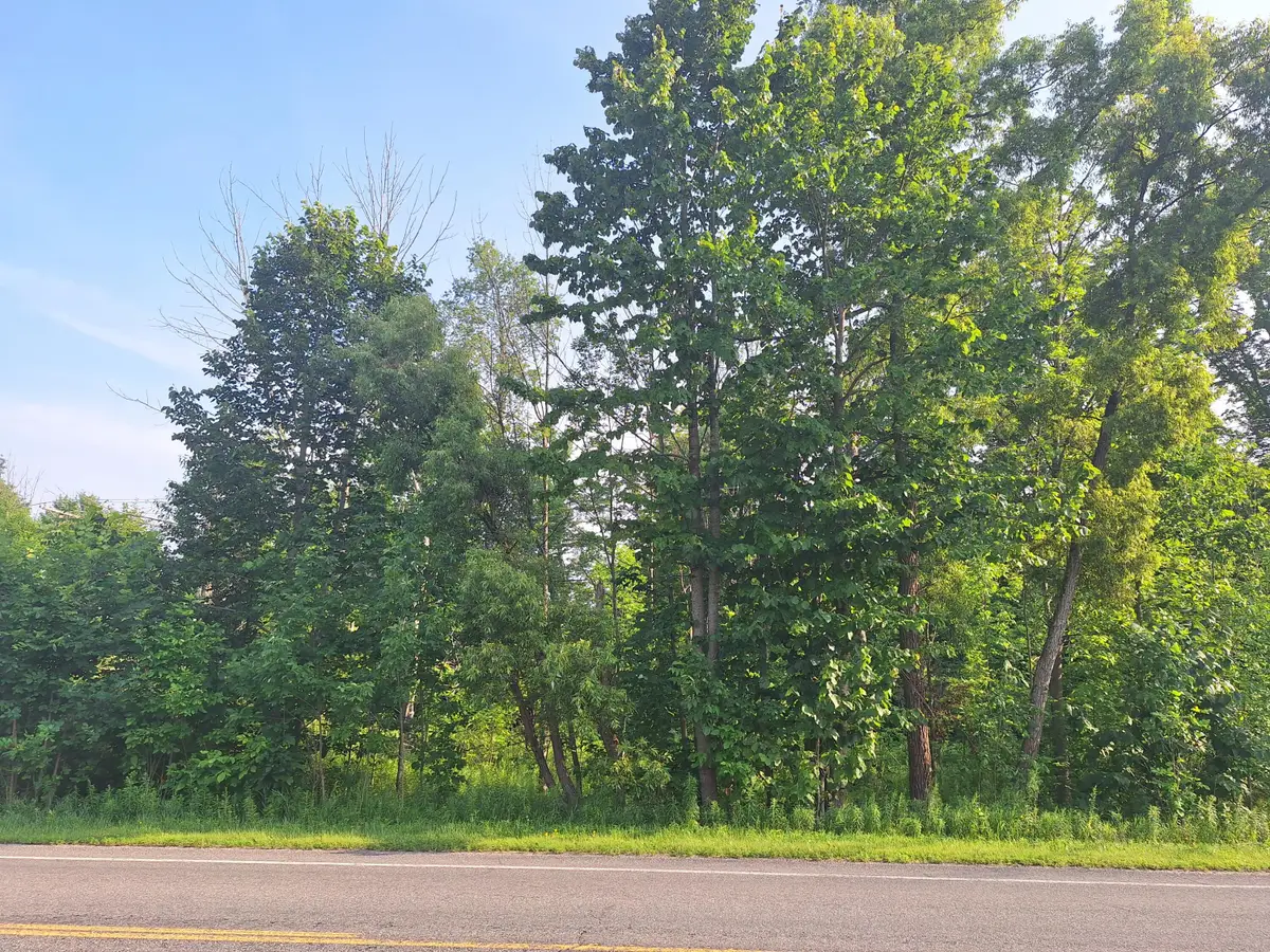 00 VL 14 Mile Rd Road, Leroy, MI 49655 - #1