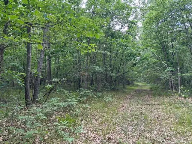 10063 N Irons Road, Irons, MI 49644 - #3