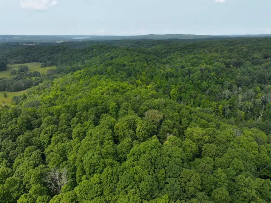 V/L 40A Lambdin Road, East Jordan, MI 49727 - #2