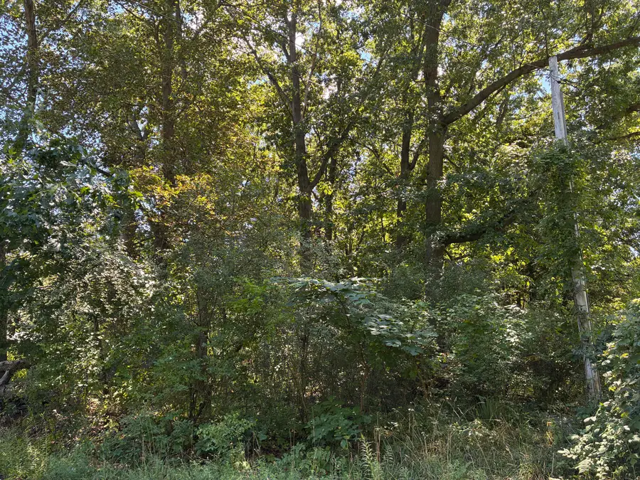 Francis Avenue, Kalamazoo, MI 49048 - #3