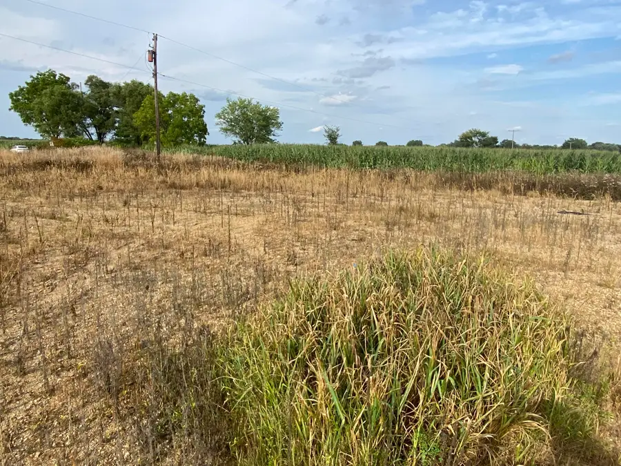 197 W County Line Road, Union City, MI 49094 - #3