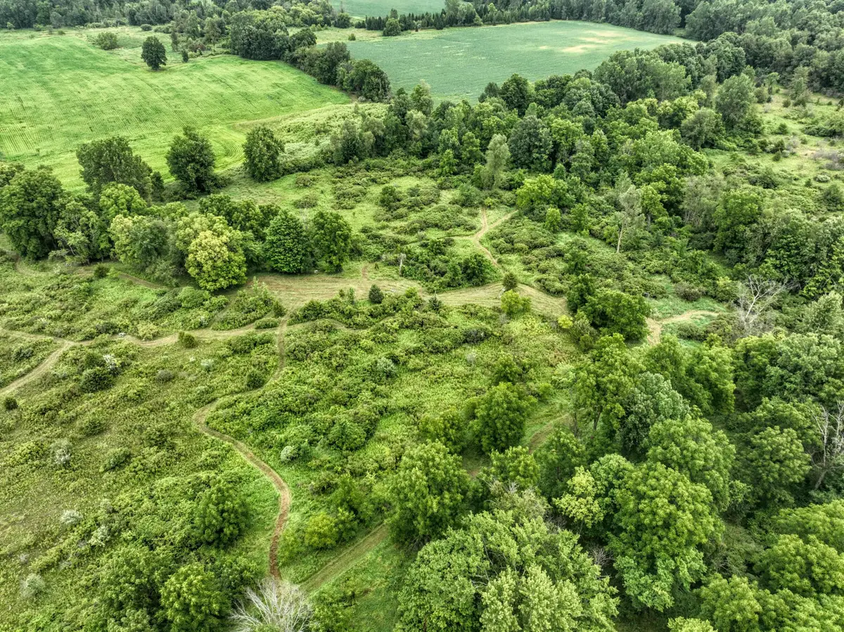 VL S Bradley Road, Charlotte, MI 48813 - #1