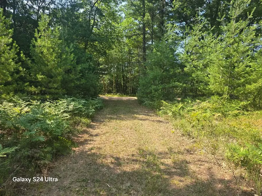 10652 N River Road, Irons, MI 49644 - #3