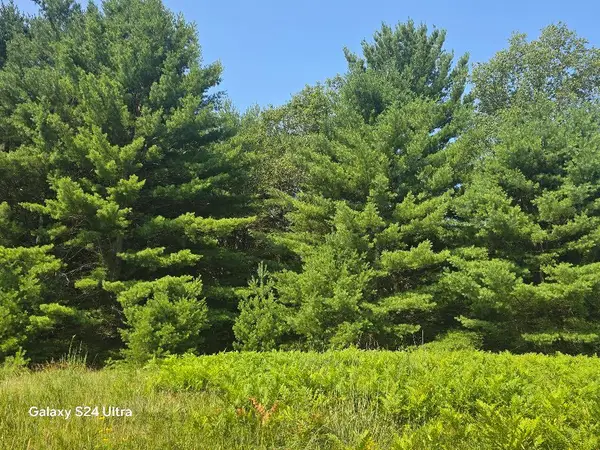 10652 W River Road, Irons, MI 49644