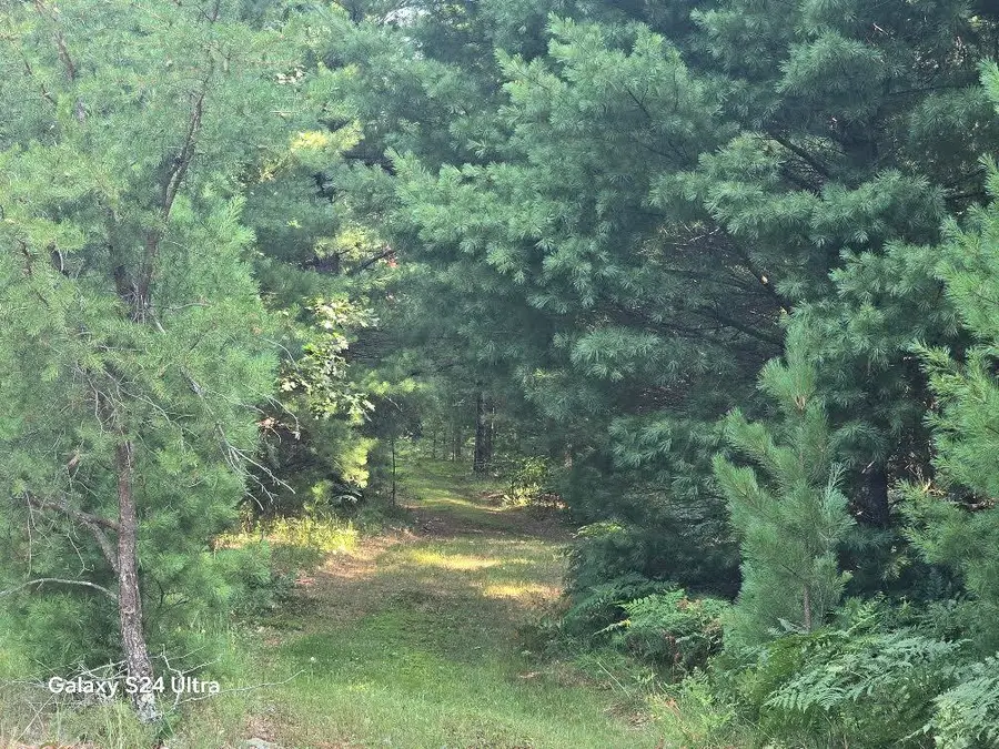 N River Road, Irons, MI 49644 - #2