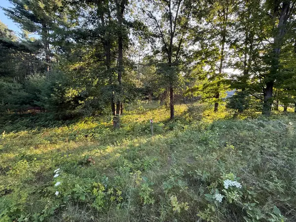 16345 Mitchell Creek Trail, Big Rapids, MI 49307