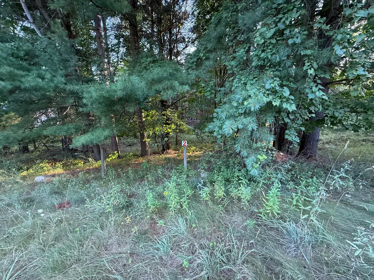 16313 Mitchell Creek Trail, Big Rapids, MI 49307 - #1