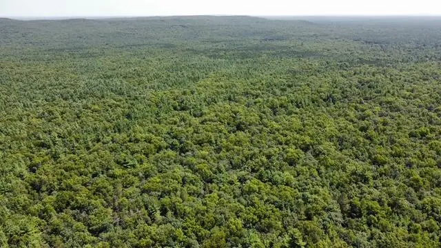 S Skocelas Rd, Manistee, MI 49660 - #2