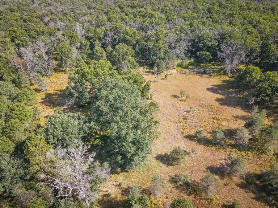 W 10 Mile Road, Irons, MI 49644 - #3