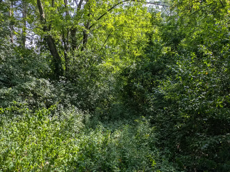Holland Road, Taylor, MI 48180 - #2