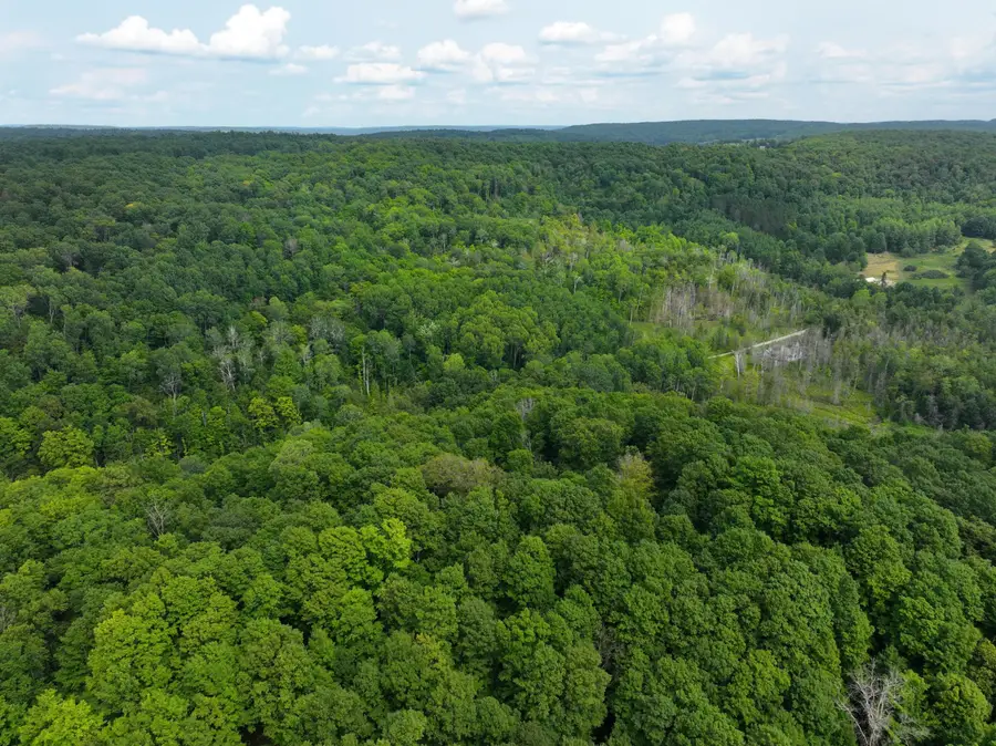 V/L E20A Lambdin Road, East Jordan, MI 49727 - #3
