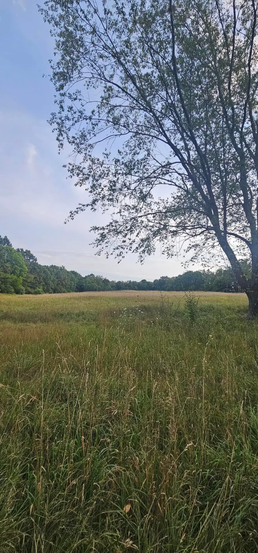473 Block Road, Coldwater, MI 49036 - #3