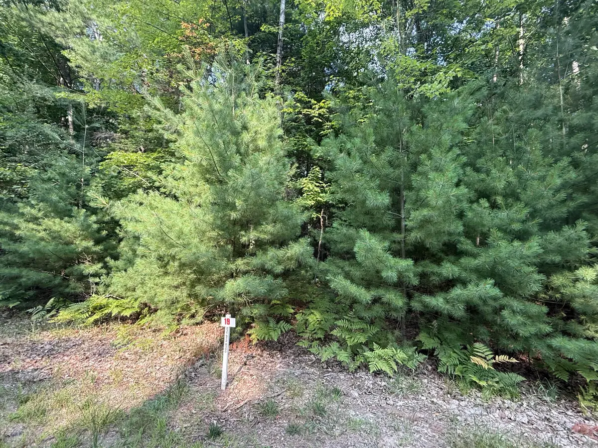 6842 White Pine Drive, Stanwood, MI 49346 - #1