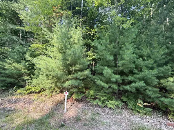 6842 White Pine Drive, Stanwood, MI 49346
