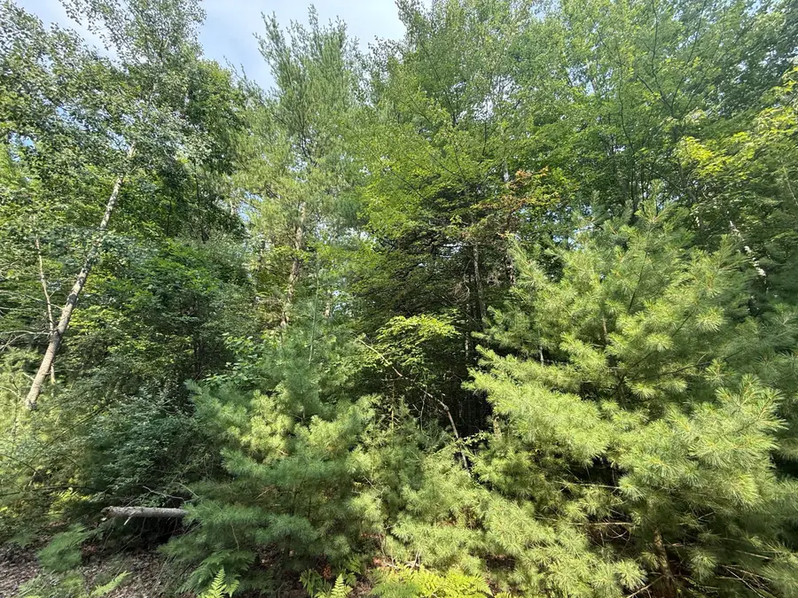 6842 White Pine Drive, Stanwood, MI 49346 - #2