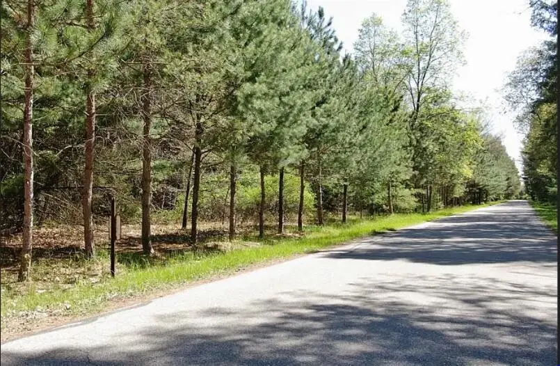 9101 Forest Pines Drive, Mecosta, MI 49332 - #3