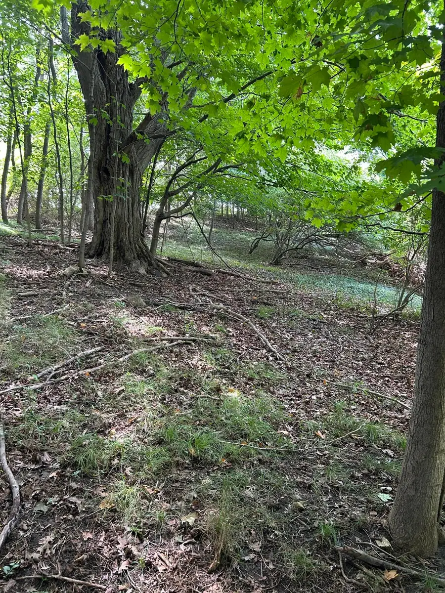 Longbridge West Lot 9, Pentwater, MI 49449 - #3
