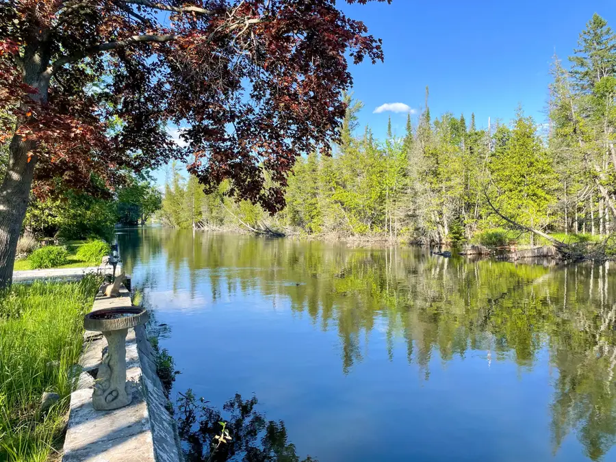 7847 Lake Street, Alanson, MI 49706 - #3