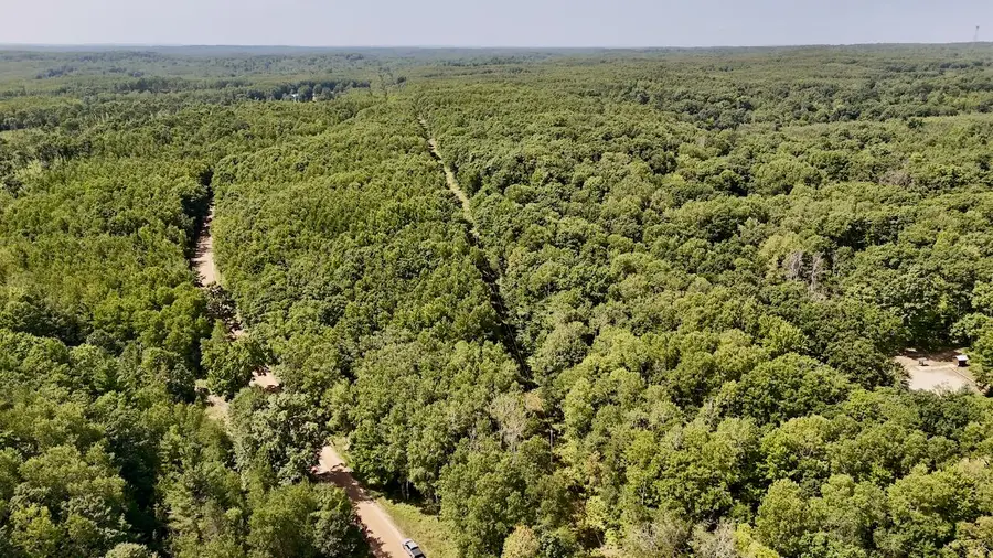 00 7 Mile Road, Evart, MI 49631 - #2