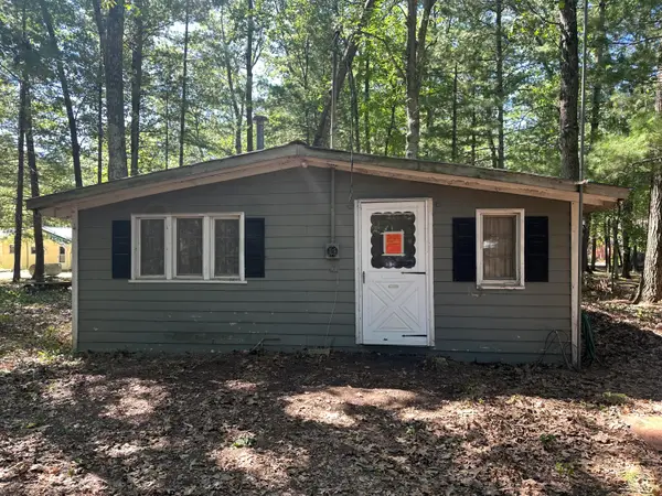 9655 S Beechnut Avenue, Baldwin, MI 49304