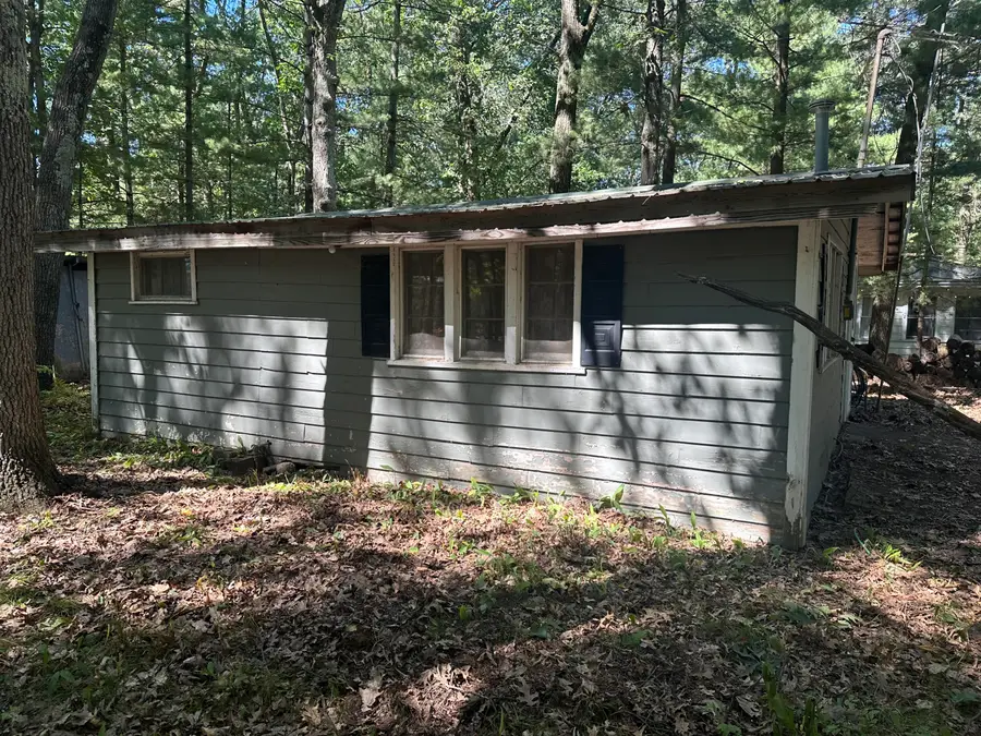 9655 S Beechnut Avenue, Baldwin, MI 49304 - #2
