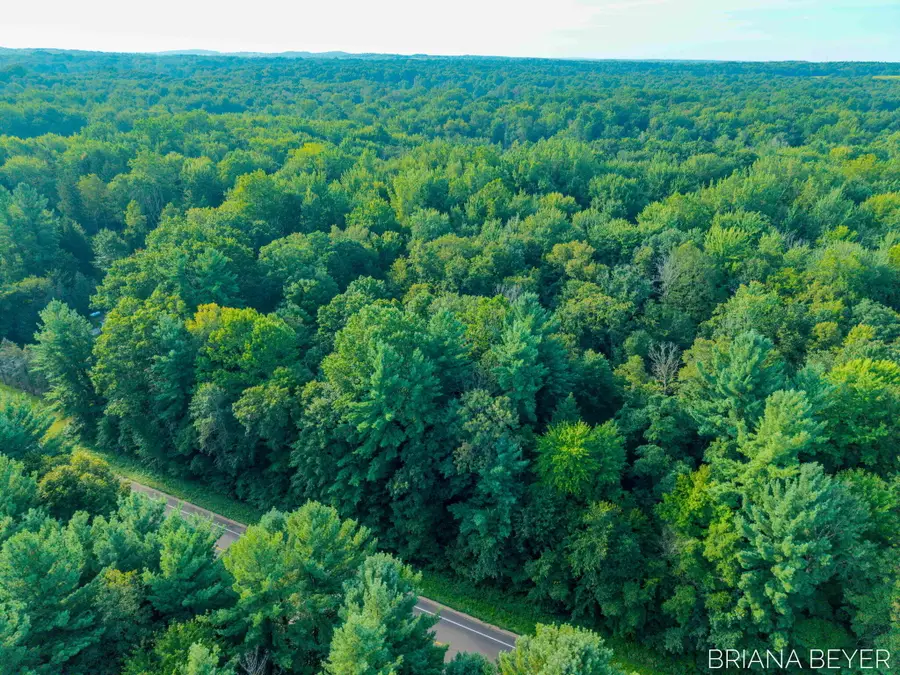 5 Acres 128th Avenue, Allegan, MI 49010 - #2