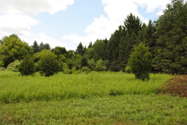 3190 Luna Drive, Dexter, MI 48130