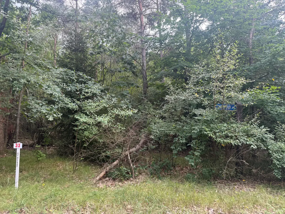 10181 Sherwood Circle #33, Stanwood, MI 49346 - #1