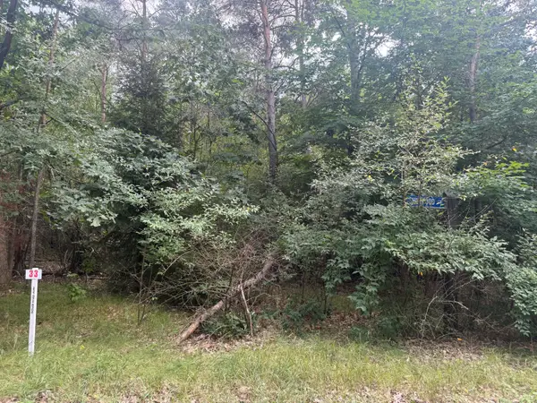 10181 Sherwood Circle #33, Stanwood, MI 49346