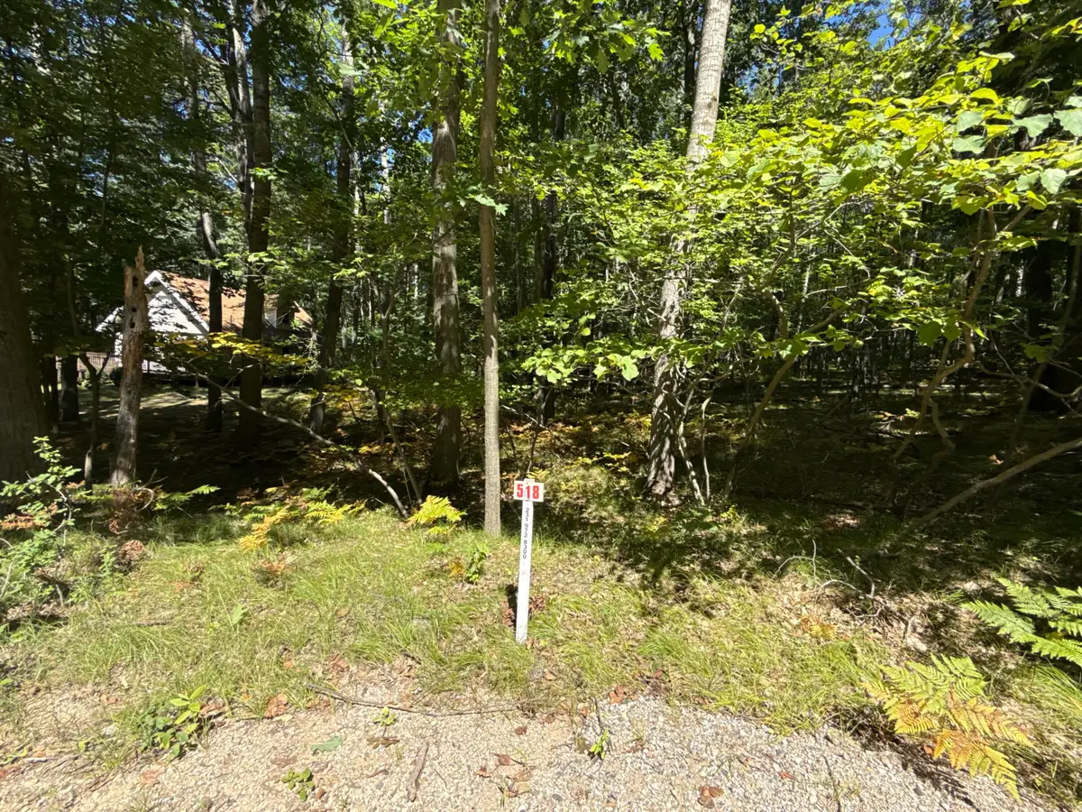 12090 Dubois Drive, Stanwood, MI 49346 - #1