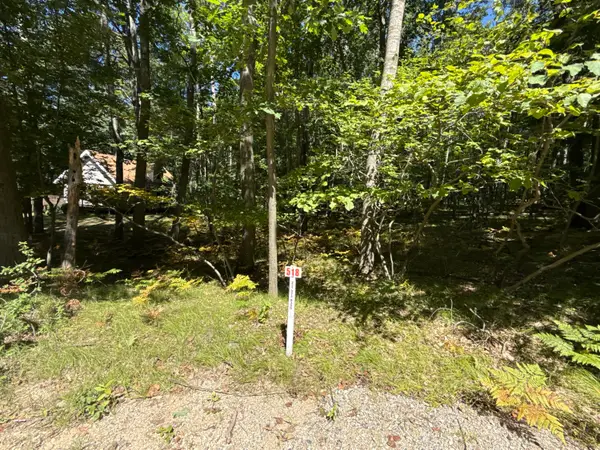 12090 Dubois Drive, Stanwood, MI 49346