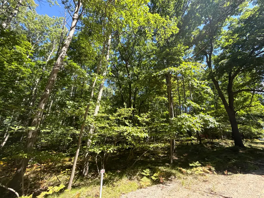 12090 Dubois Drive, Stanwood, MI 49346 - #2
