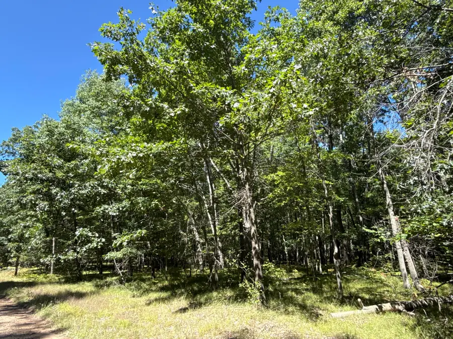 12060 Chinook Drive #408, Stanwood, MI 49346 - #2