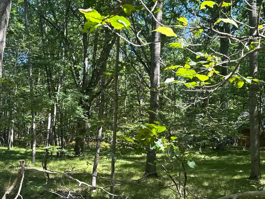 12060 Chinook Drive #408, Stanwood, MI 49346 - #3