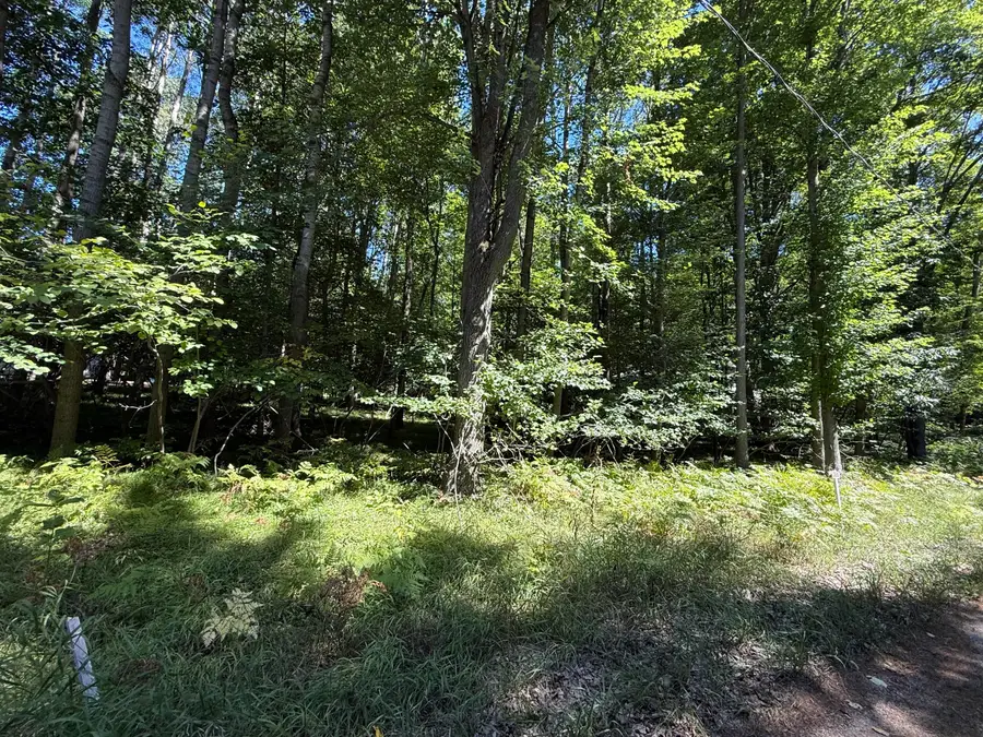 12100 Belle Isle Drive #369, Stanwood, MI 49346 - #3
