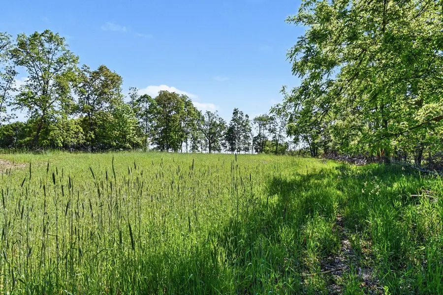 0 V/L E Charles Road #Parcel B, Ionia, MI 48846 - #2