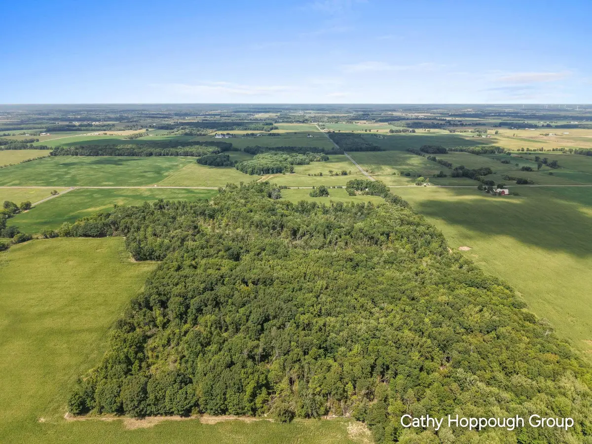 Crystal Road, Hubbardston, MI 48845 - #1