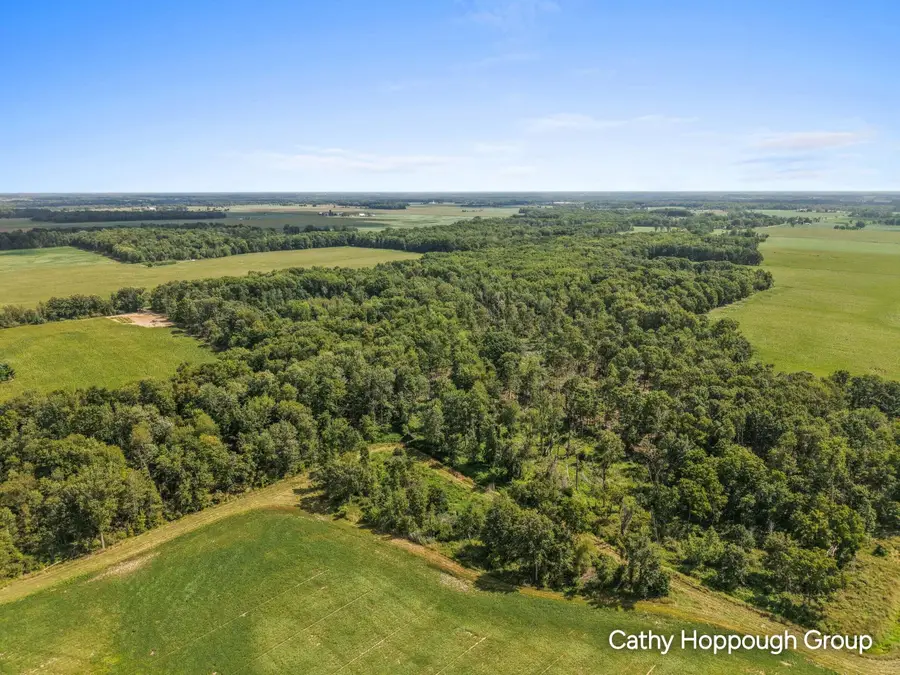 Crystal Road, Hubbardston, MI 48845 - #3